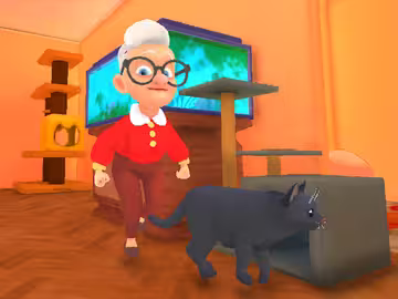 Cat and Granny cover