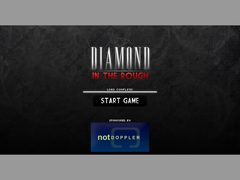 Diamond in the Rough cover