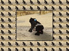 Esuvee cover