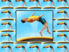 Flip Master cover
