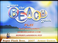 James The Beach Zebra cover