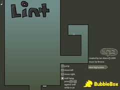 Lint cover