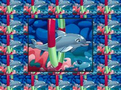 My Dolphin Show 5 cover