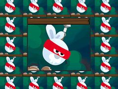 Rabbit Samurai cover