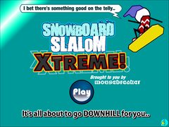 Snowboard cover